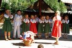 Folklorní festival Slezské dny
