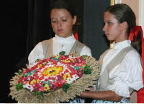 Časopis Folklor